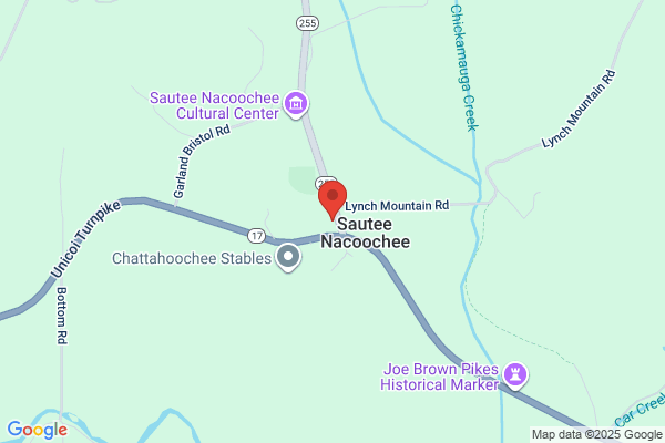 North Georgia Mountain Realty