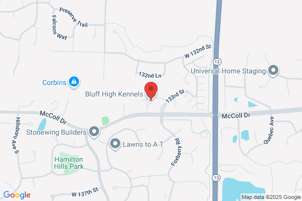 Bluff High Kennels