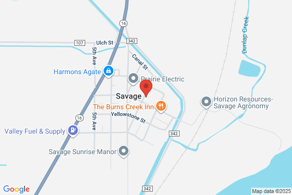 Savage, Fire Department