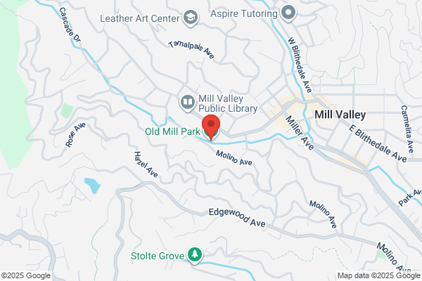 Old Mill Park