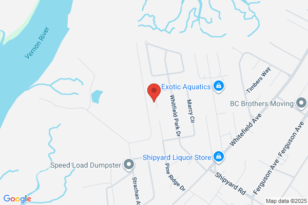 LANIER HEATING AND COOLING L.L.C