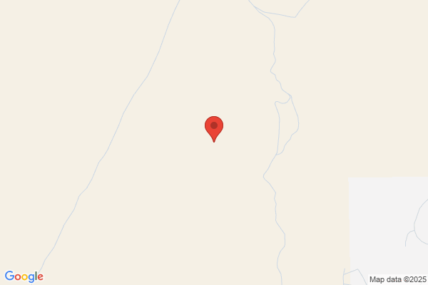 Red Needle