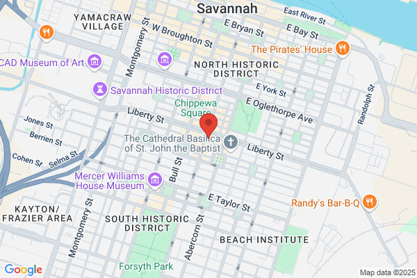 GOGO Charters Savannah