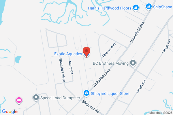 Exotic Aquatics Inc