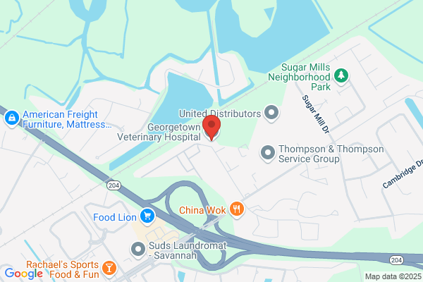 Georgetown Veterinary Hospital Inc