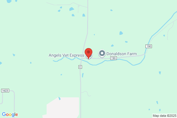 Angels Vet Express