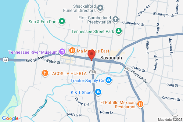 State Finance of Savannah