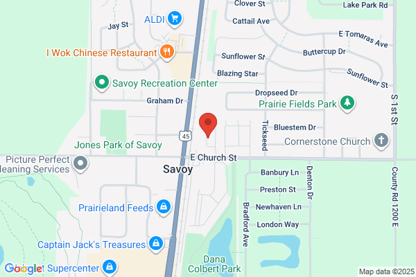 Savoy Storage
