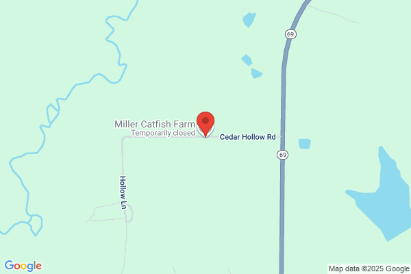 Catfish Wireless Llc