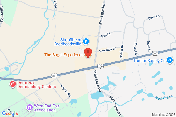 Bagel Experience the