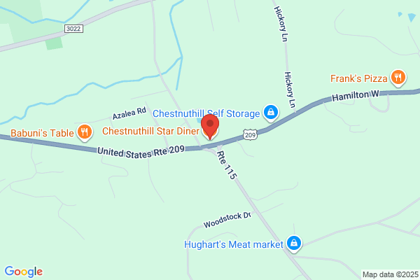 Chestnut Hill Diner