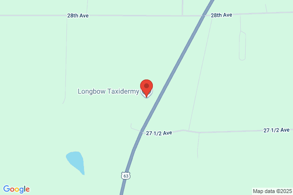 Long's Taxidermy
