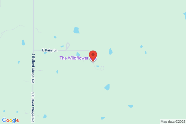 The Wildflower