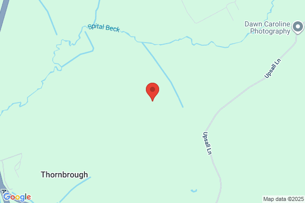 Thornbrough Roy L