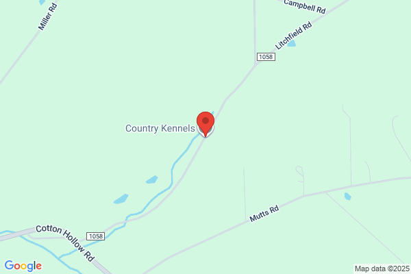 Country Kennels