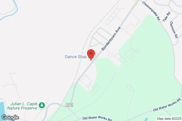 Dance Stop
