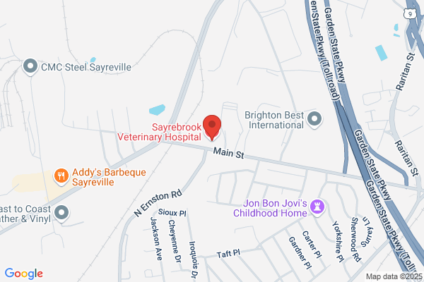 Sayrebrook Veterinary Hospital