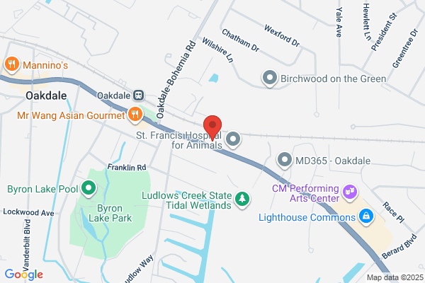 Thomas Malanga | Realty Connect USA