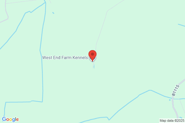 Westend Kennels