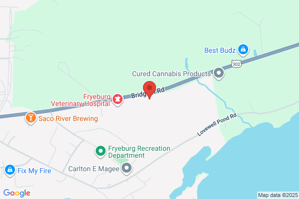 Puffin Stop
