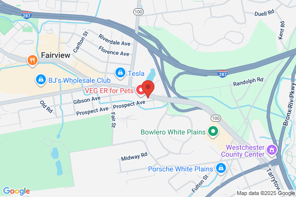 Westchester Animal Emergency