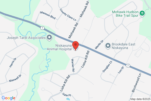 Animal Hospital of Niskayuna