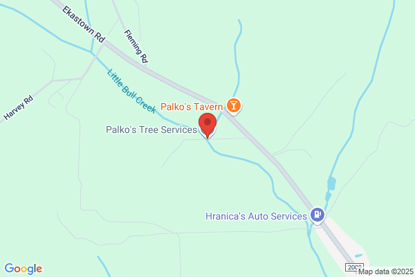 Palko's Tree Service