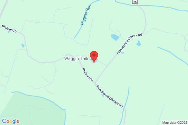 Waggin Tails