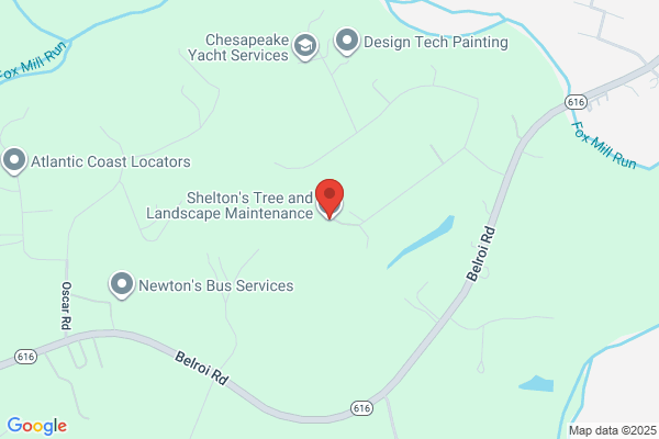 Complete Tree Service