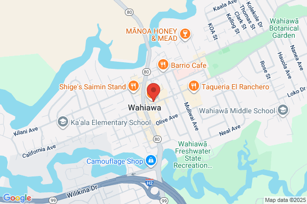 Aloha Pawn