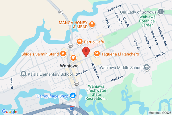 Matsukawa Insurance Agency Inc