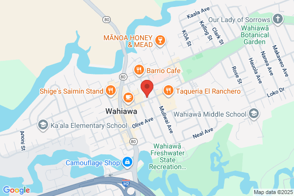Na Mea Ho'okani Pila O Hawaii