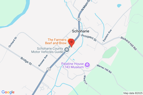 Police Departments, Schoharie Village