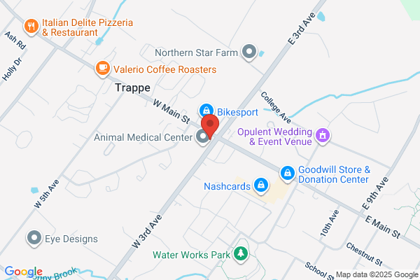 Trappe Getty Auto Service