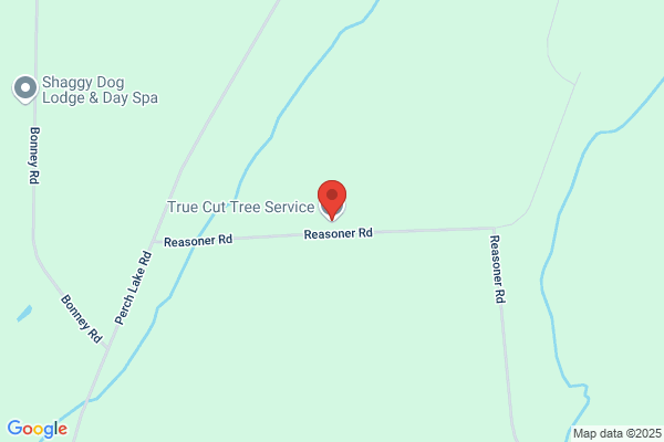 True Cut Tree Service