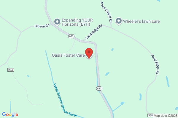 Oasis Therapeutic Foster Care Network