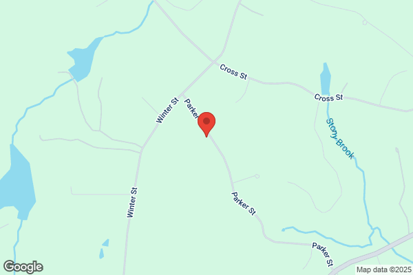 South Shore Arborists