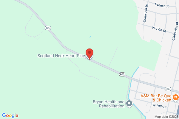 Scotland Neck Heart Pine