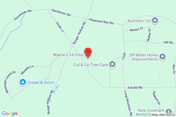 Wayne's Towing & Road Service Inc
