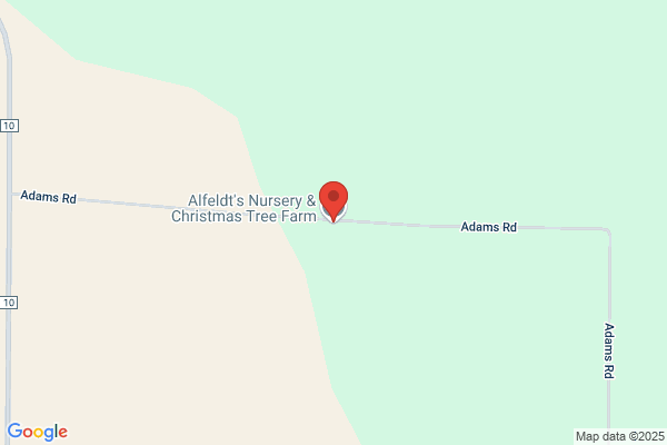Lost Acres Christmas Trees