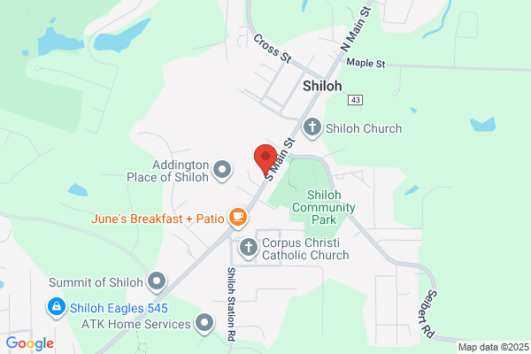 Wings of Shiloh
