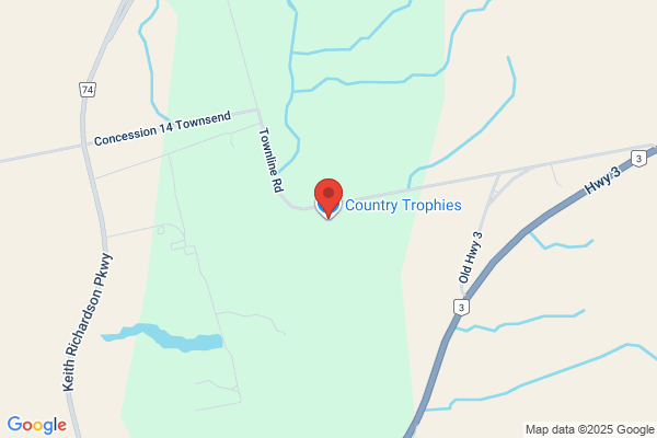 Town & Country Trophies & Gifts