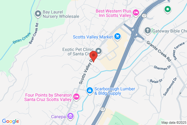 Stanford Avenue Automotive