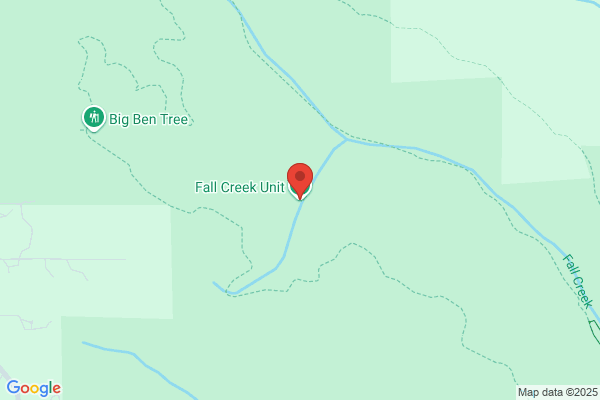 Fall Creek Engineering Inc