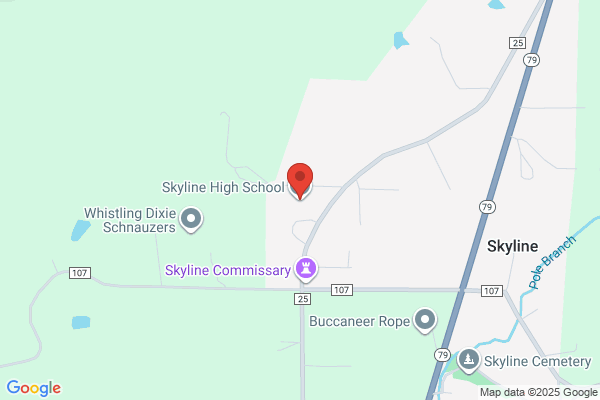 Skyline School