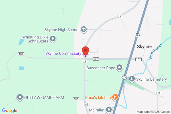 Skyline Agriculture Business