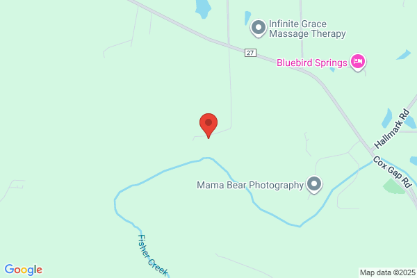 Bama Home Inspection Consultant