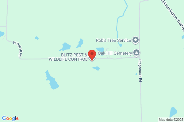 Blitz Pest & Wildlife Control