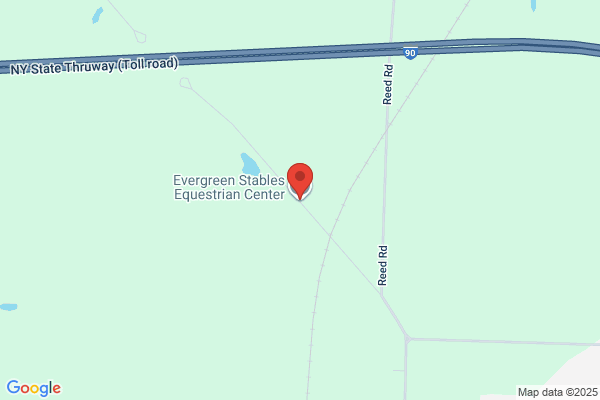 Evergreen Stables