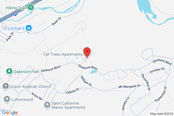 Tall Trees Apartments